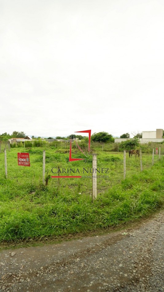TERRENO ESQUINA SAN LUIS B CASA DEL SOL