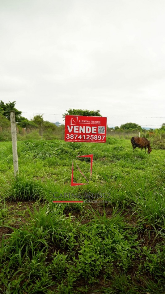 TERRENO ESQUINA SAN LUIS B CASA DEL SOL